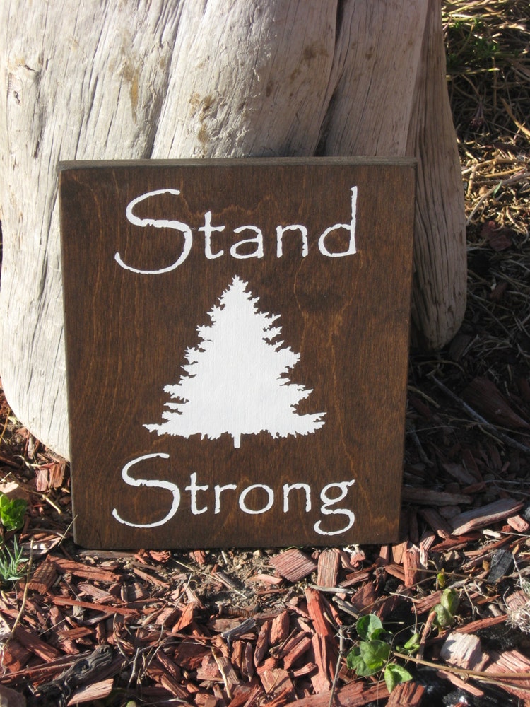 Boys room Wall DecorRustic Wood SignRustic by PattisCtryWoodcraft