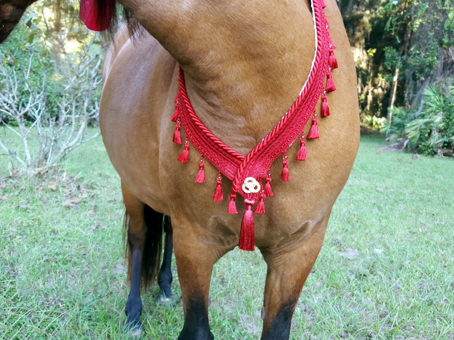 Red Tassel Breast Collar Tasseled Horse Costume Equine