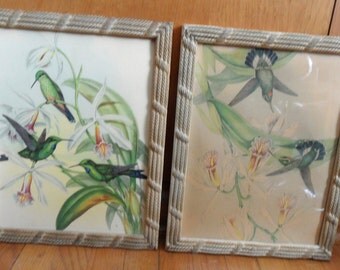 Picture pair of hummingbirds in textured frames / John Gould, I B Fisher Co. vintage bird picture / picture frame pair
