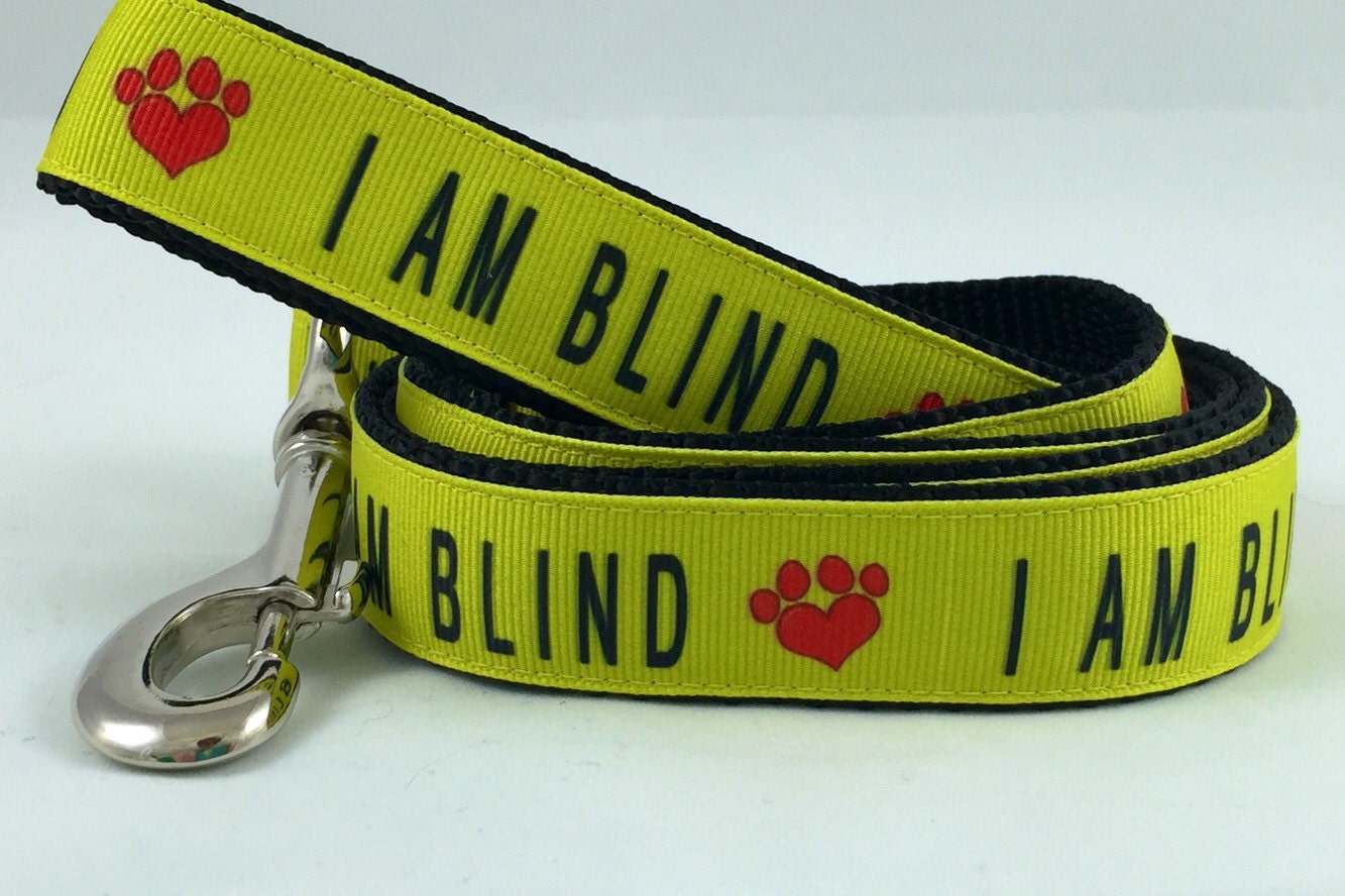 I AM BLIND Dog Leash Any Size by PolkaDotTails on Etsy