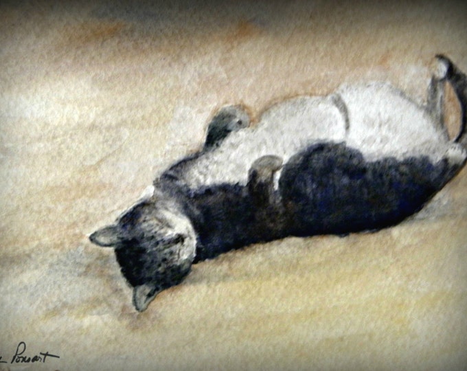 CAT LOVER Note Card set from Pam of Pam's Fab Photos, created from her watercolor art