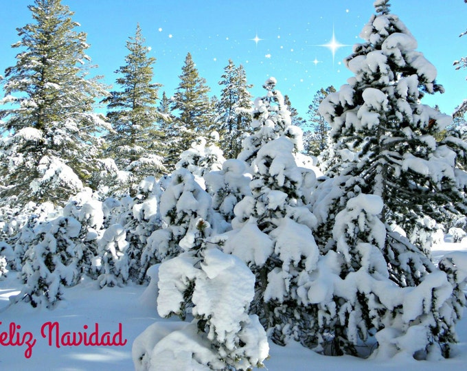FELIZ NAVIDAD Holiday Card featuring Snow Laden Trees created by the photography of Pam Ponsart