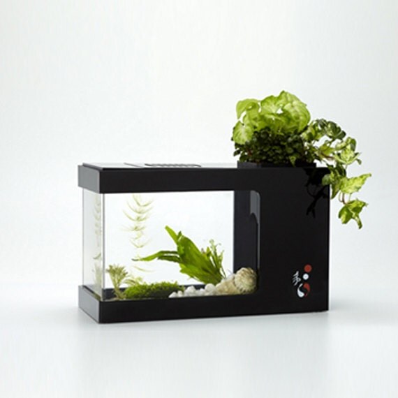 round modern fish tank with plant light