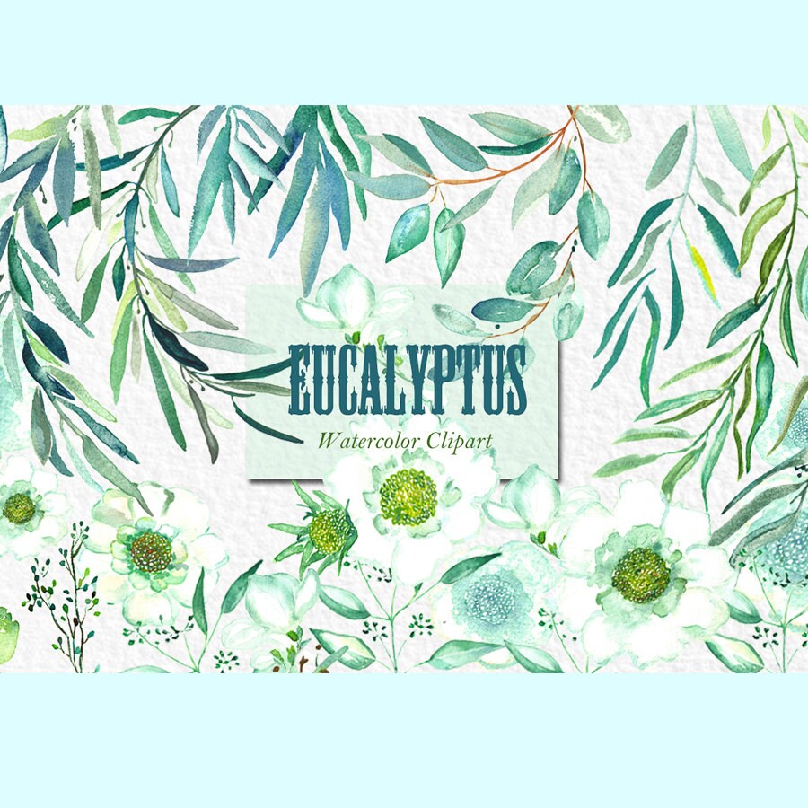 Eucalyptus branches watercolor clipart hand by LABFcreations