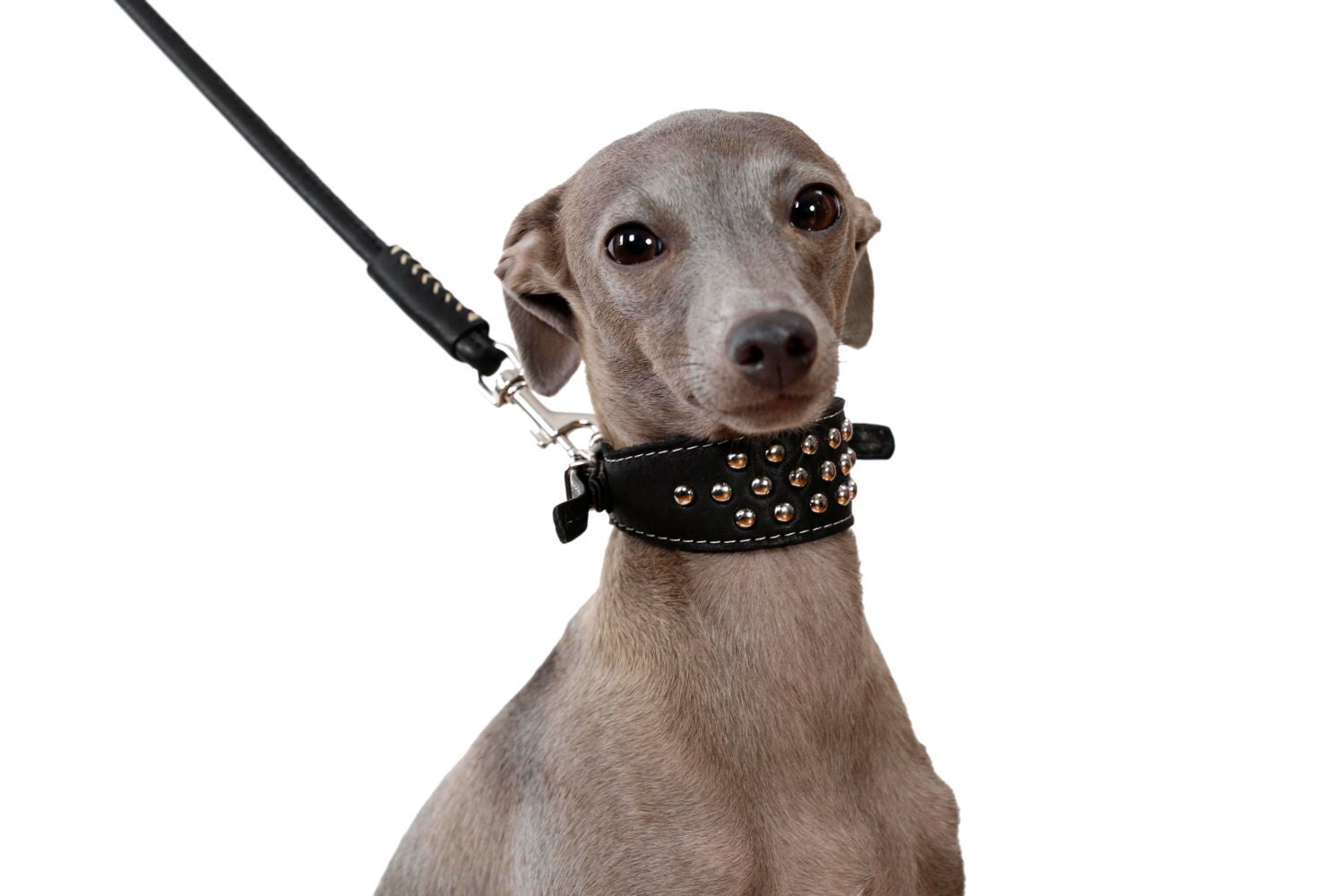 Italian Greyhound Dog Collar Leash Set Puppy Soft Leather