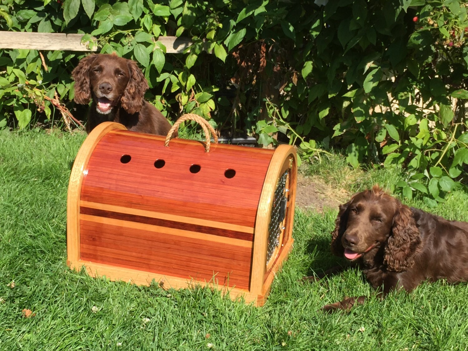 crate for yorkie yorkie crate crate for yorkie yorkie crate