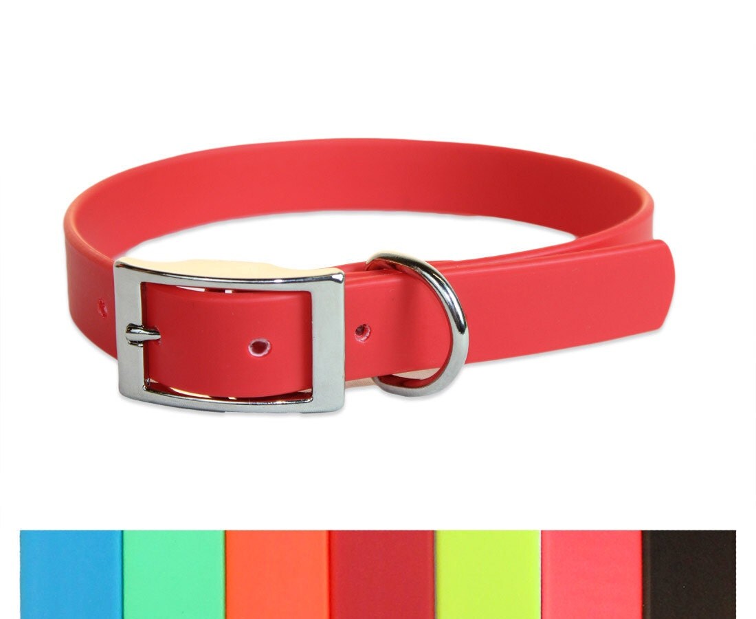 Waterproof Basic Dog Collar