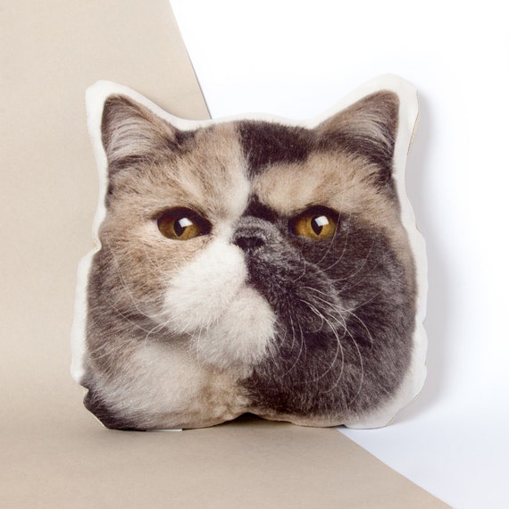 pillow with cat face