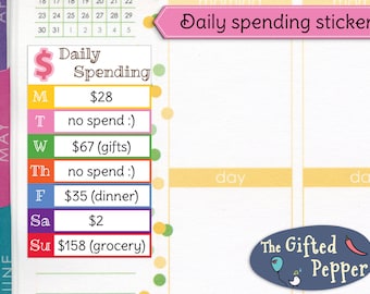 PRINTED Daily spending stickers. Expense log, budget plan, money tracker, finance, budgeting. For Erin Condren Planner. Stickers (Item #204)