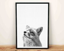 Popular items for black and white fox on Etsy