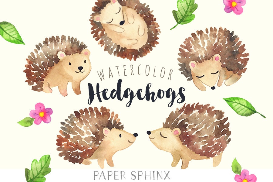african hedgehog clipart - photo #43