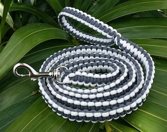 Paracord Dog Leash, Dog Leashes, Dog Lead, Paracord Puppy Leash, Puppies Leash, Puppies Lead, 550 Paracord, Paracord Leashes, Paracord Lead