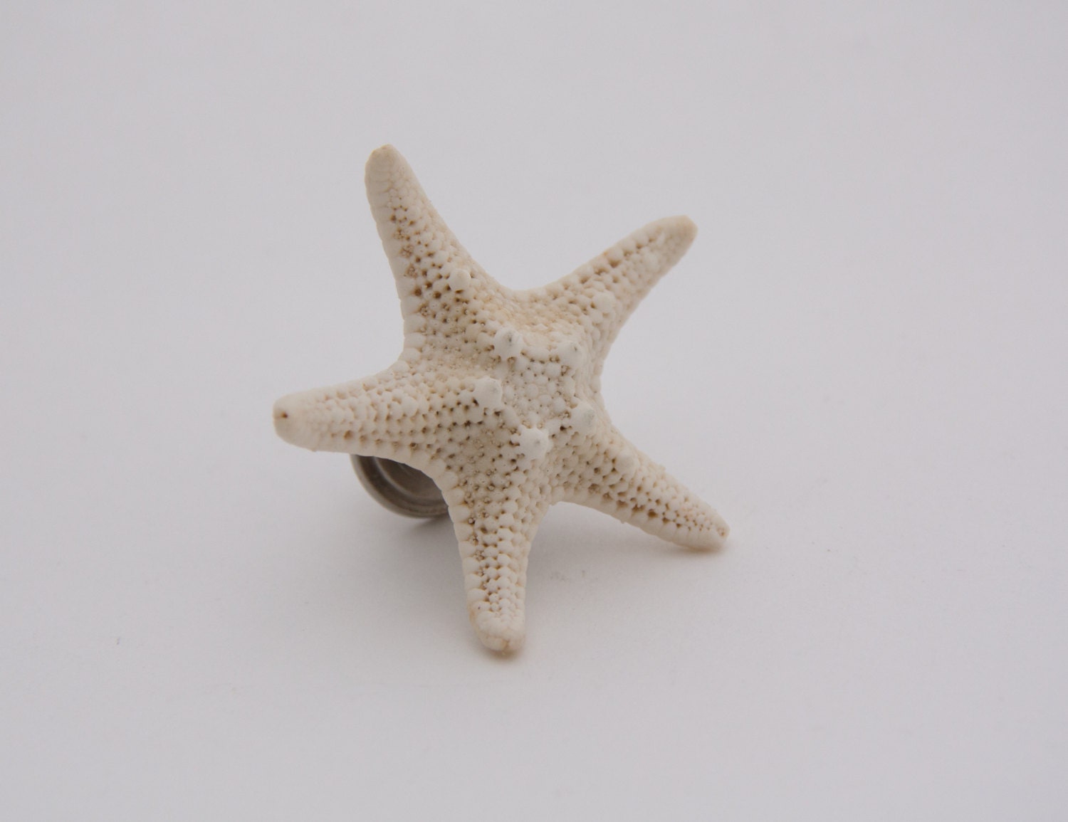 Starfish Drawer Pull // Shell Drawer Hardware // by 6dogsdecor