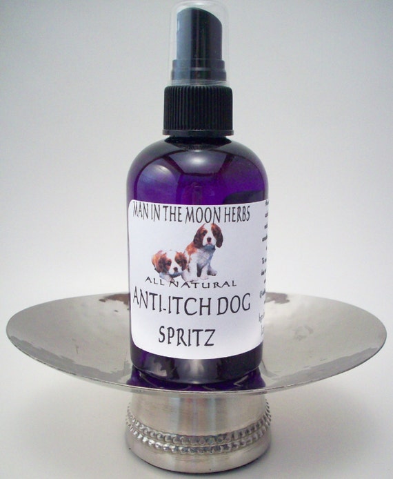 hone anti itch for dogs