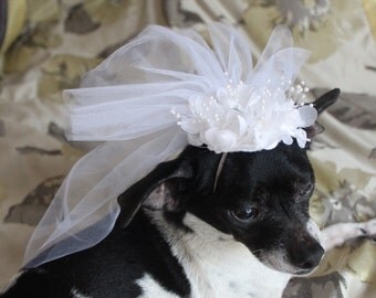 Cute bridle veil with white flowers