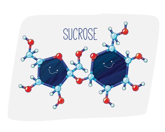 Sucrose Sugar Molecule / Wall art print / biology / cell