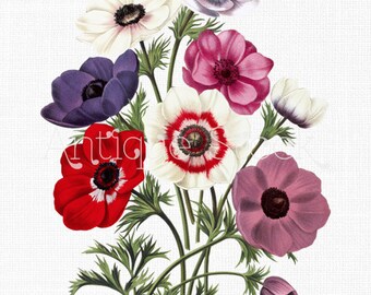 Flower Clipart 'Farewell to Spring' Digital Download