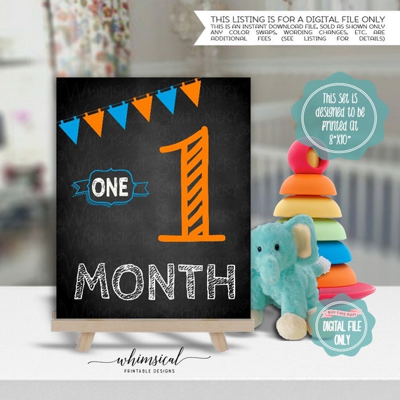 Baby Months Signs Set of 12 Instant Download Orange