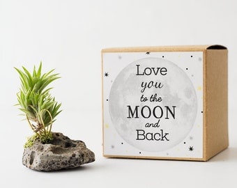 Love You To The Moon, Air Planter, Fathers Day Gift for Dad, Best Friend Birthday, Long Distance Gift, Mom Gift, Cute Boyfriend Gift,