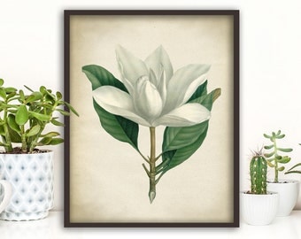 Magnolia Wall Art magnolia wall art | etsy Magnolia Wall Art magnolia wall art | etsy