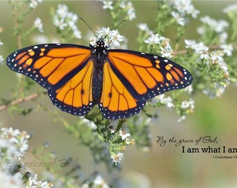 Monarch Butterfly Photography Canvas What If You Fly Quote
