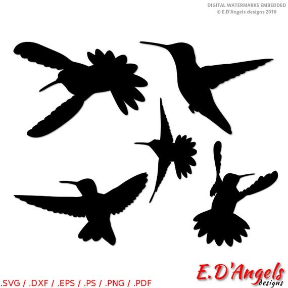 Free Free 303 Free Hummingbird Svg Files SVG PNG EPS DXF File