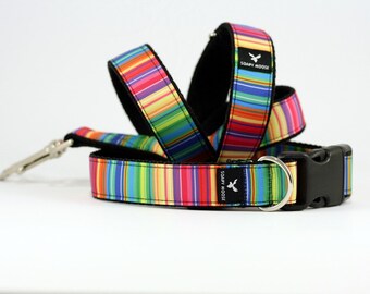 Vertical Stripe dog collar, Hand made in Australia, Stylish Dog collar, Dog bow tie, Puppy collar, Aqua collar, bright collar, Bright puppy