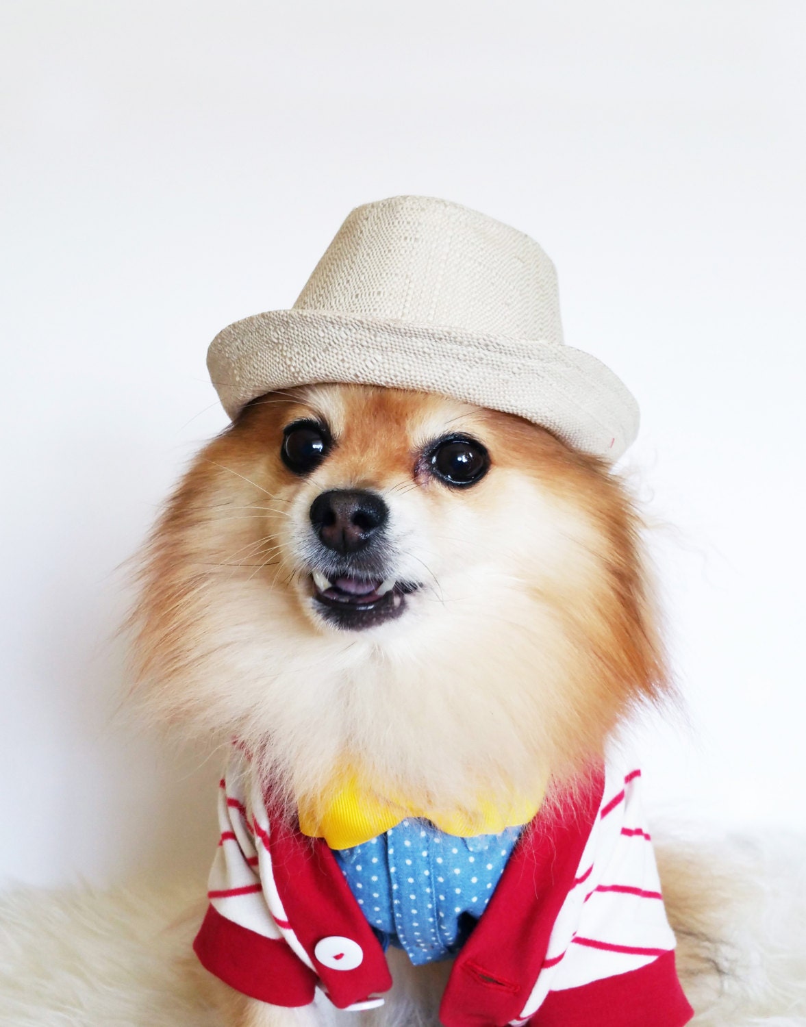 Fedora for DOGS CATS HANDMADE dog hats dog caps summer