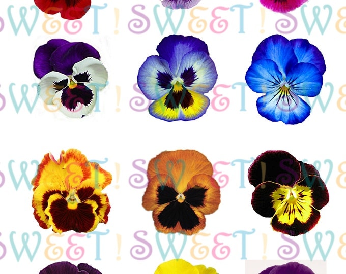 Edible Cake Decorations - Pansy Cake, Cupcake & Cookie Toppers - Wafer Paper or Frosting Sheet