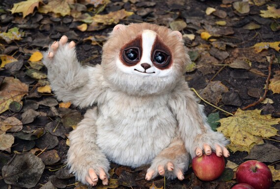 Pygmy Slow Loris