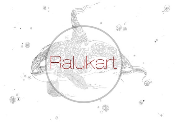 Adult Colouring Page Killer Whale