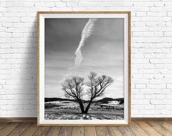 nature photography, large art, printable art, instant download printable art, black and white, wall art, digital download - "Across the Sky"