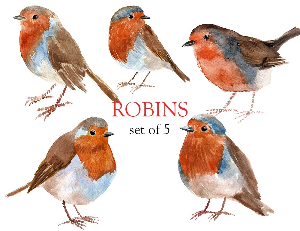 robin's nest clip art - photo #27