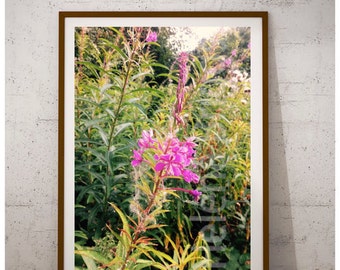 Pink Wall Art, Pink Wall Decor, Pink Room Decor, Pink Prints, Pink Photo Backdrop, Pink Photography Backdrop, Pink Art, Pink Art Print