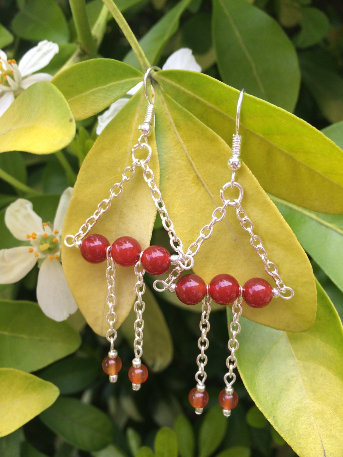 Carnelian Agate Earrings With Metallic Silver Seed Bead And