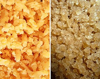 Dehydrated Organic Milk and Water Kefir Grains Combo