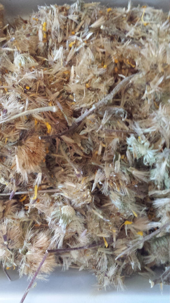 Dried+Arnica+Flowers Arnica flower 6 cups arnica dried flower and stem by Rosehipmarket