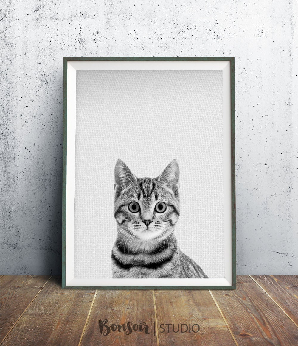 Cat Art Print 8x10 Cat Wall Art Cat Printable Animal
