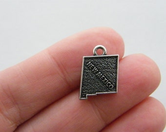 BULK 20 New Mexico charms antique silver tone WT173