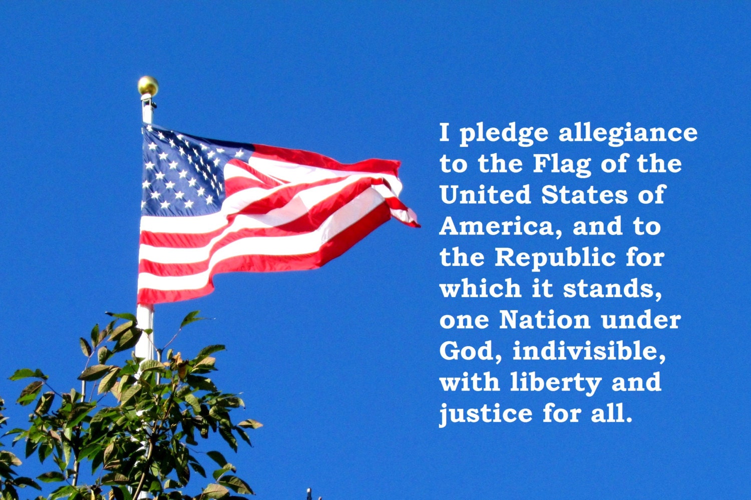 US FLAG Pledge of Allegiance One Nation under God Postcard