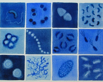 Blue Bacteria - original watercolor of microbes
