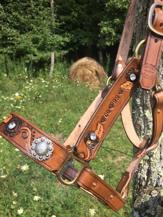 Leather Paisley Tooled Custom Rivet Horse Halter