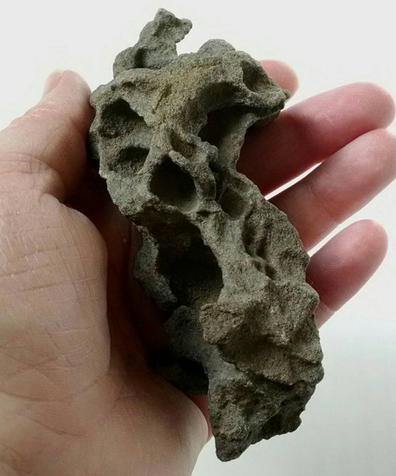 Unique Sedimentary Rock Aquarium Rock Rock For Air Plants