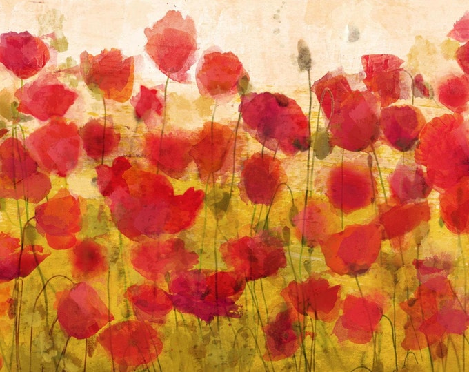 Shadow Poppies. Canvas Print by Irena Orlov 24x36"