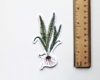 Fern Sticker, Fern, Fern art, Plant Sticker, Botany, Vinyl Sticker, Cool Stickers, Laptop Sticker, Phone Sticker, Leaf Sticker, vinyl