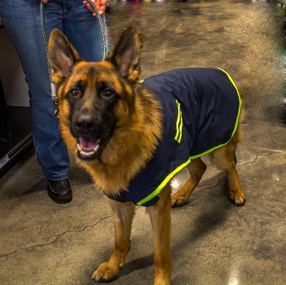 Extra Large Nylon Dog Coats Made to Order the DUKE BCD50032