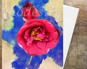 Birthday Card, Greeting Card, Artist's card, Custom card, Handmade Card, artist card, Blank card, 'Searching for beauty' Birthday Card, Greeting Card, Artist's card, Custom card, Handmade Card, artist card, Blank card, 'Searching for beauty'