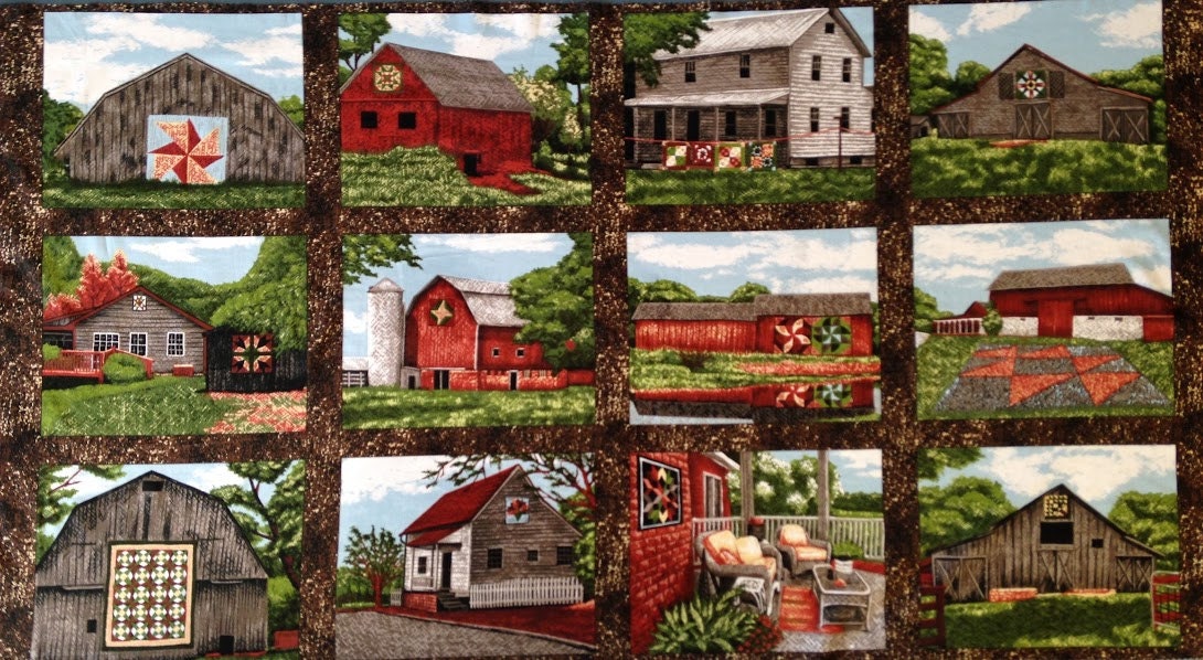 Troy Riverwoods Quilt Trails Quilt BARN Panel 24