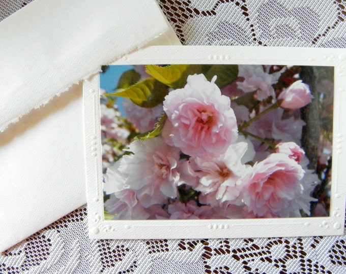 PINK CHERRY BLOSSOMS Photo Greeting Card, created by Pam Ponsart of Pam's Fab Photos