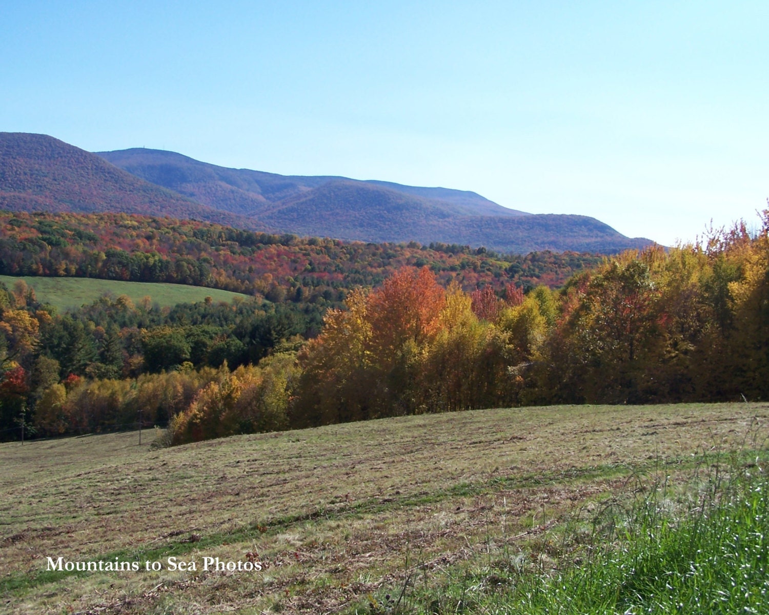 Fall foliage Berkshire Hills Massachusetts 8x10 landscape